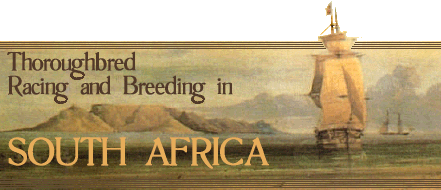 Racing and Breeding in South Africa