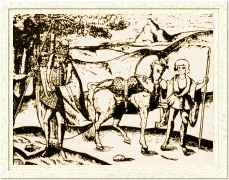 16th century Irish horse