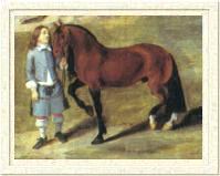 A Spanish horse, c. 1650