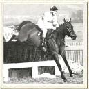 Arkle