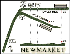 Newmarket Diagram