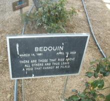 Bedouin's grave