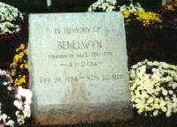 Benelwyn's stone