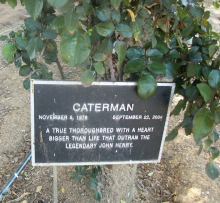 Caterman's grave
