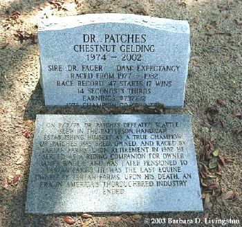 Grave of Dr. Patches