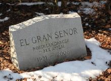 El Gran Senor's grave