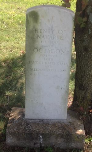 Henry of Navarre, Octagon graves