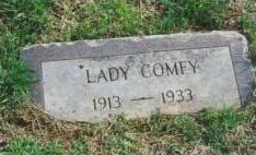 Lady Comfey