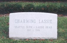 Charming Lassie