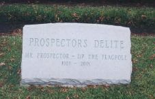 Prospector's Delite