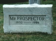 Mr. Prospector