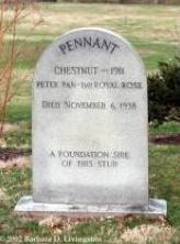 Pennant's grave