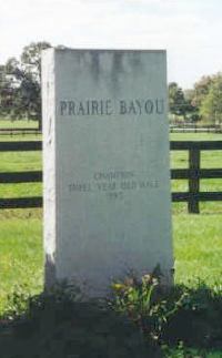 Prairie Bayou