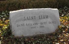 Saint Liam
