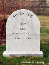 Silver Fog's  grave