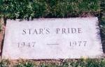 Star's Pride's grave