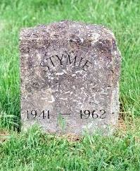 Stymie's grave