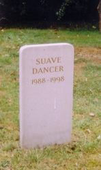 Suave Dancer's marker
