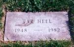 Tar Heel's grave