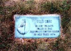 Volo Song's marker