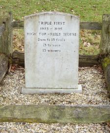 Triple First's grave