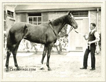 Pretty Polly: Prodigious legacy of the best racemare of the 20th